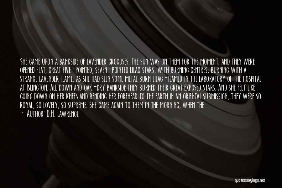 Dark Flame Quotes By D.H. Lawrence