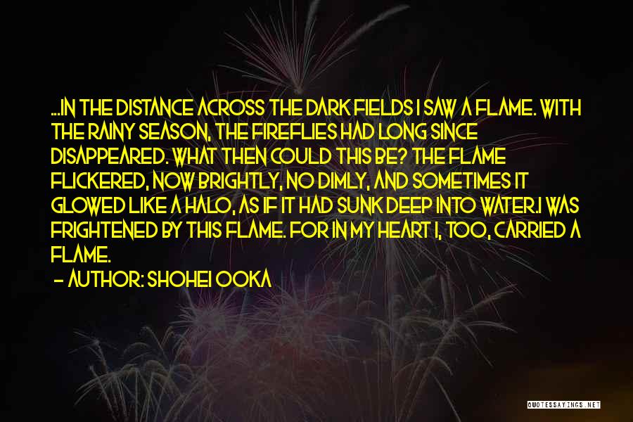 Dark Flame Quotes By Shohei Ooka