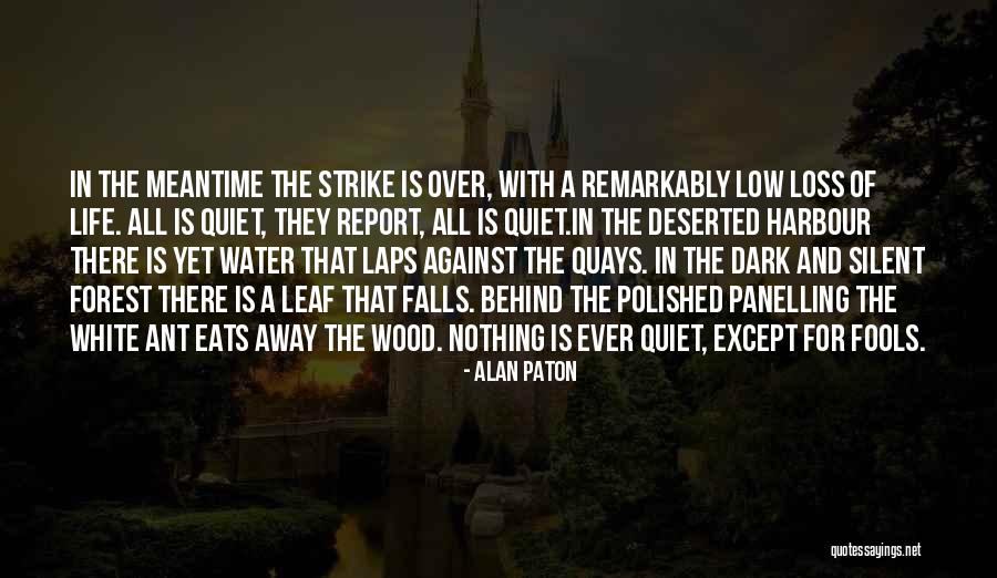 Dark Forest Quotes By Alan Paton Dark Forest Quotes By Alan Paton