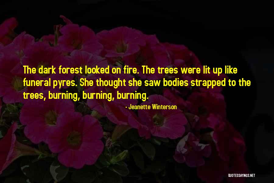 Dark Forest Quotes By Jeanette Winterson Dark Forest Quotes By Jeanette Winterson