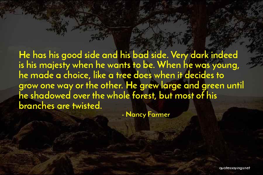 Dark Forest Quotes By Nancy Farmer Dark Forest Quotes By Nancy Farmer