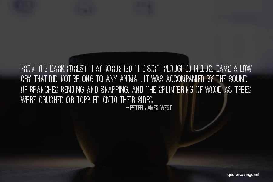 Dark Forest Quotes By Peter James West Dark Forest Quotes By Peter James West
