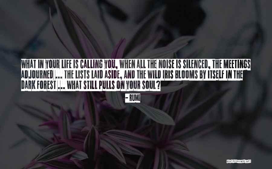 Dark Forest Quotes By Rumi Dark Forest Quotes By Rumi