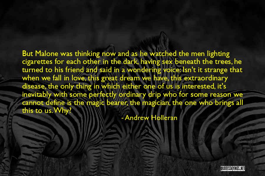 Dark Friend Quotes By Andrew Holleran