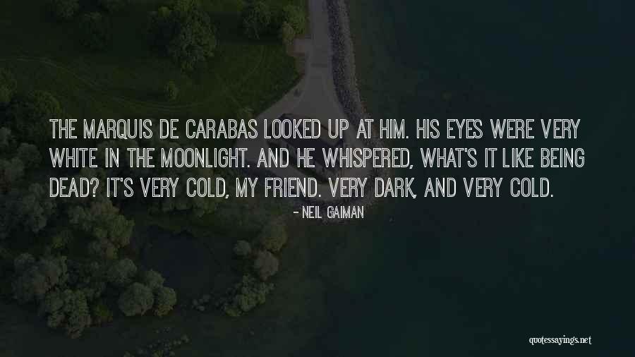 Dark Friend Quotes By Neil Gaiman