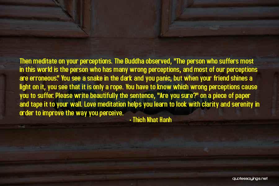 Dark Friend Quotes By Thich Nhat Hanh