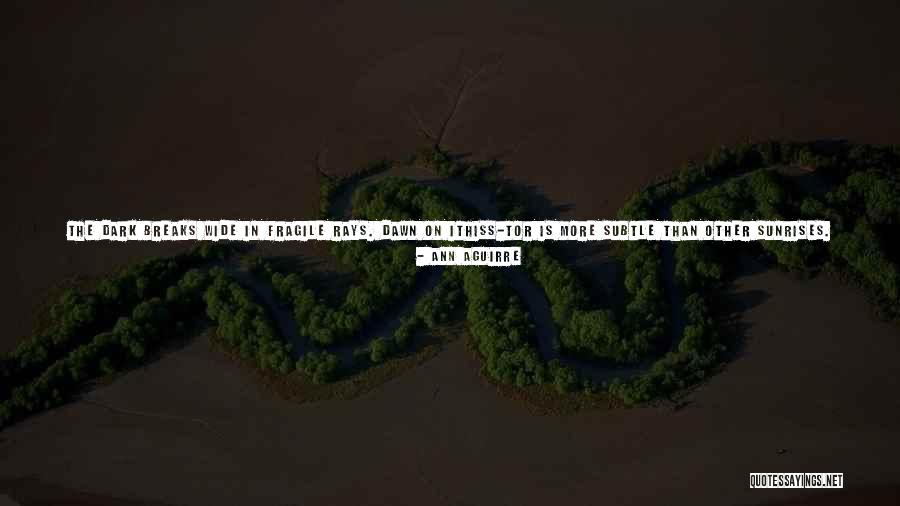 Dark Goddess Quotes By Ann Aguirre Dark Goddess Quotes By Ann Aguirre