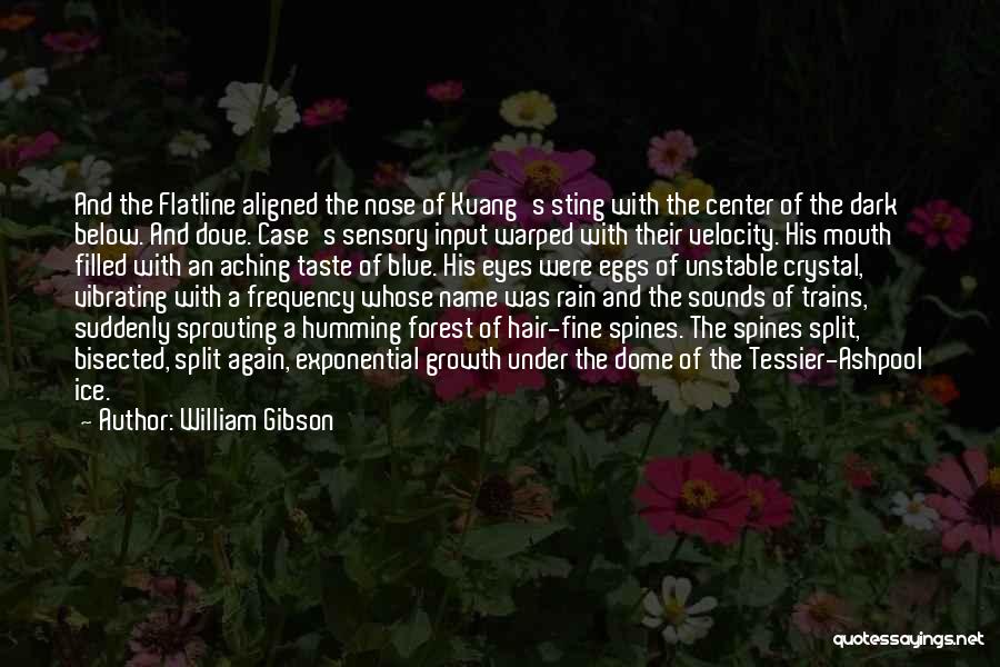 Dark Hair And Blue Eyes Quotes By William Gibson