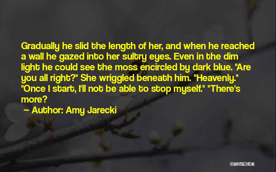 Dark Highlander Quotes By Amy Jarecki