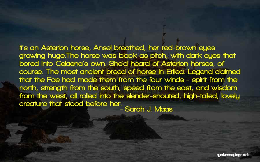 Dark Horses Quotes By Sarah J. Maas Dark Horses Quotes By Sarah J. Maas