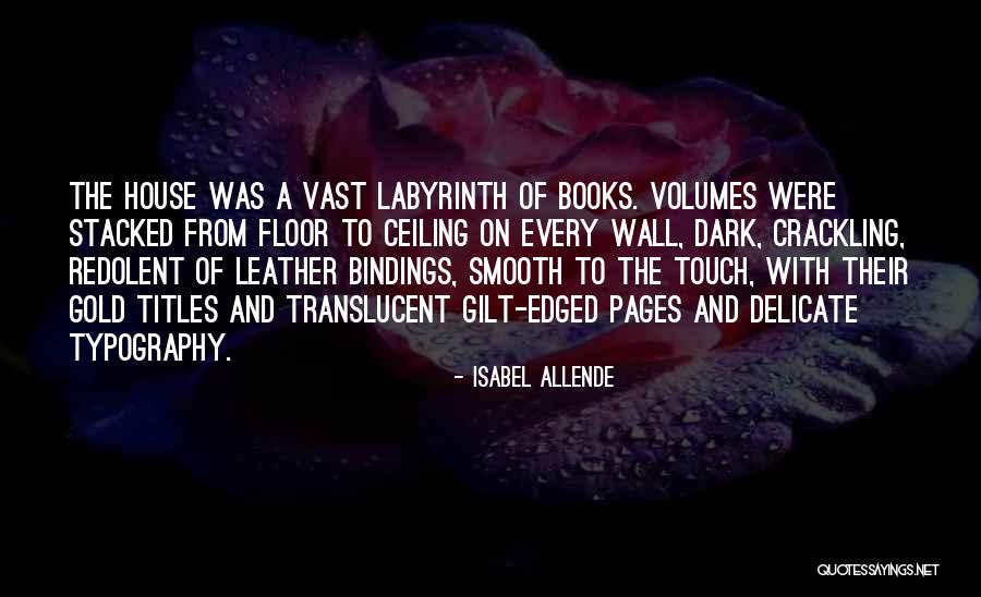 Dark House Quotes By Isabel Allende