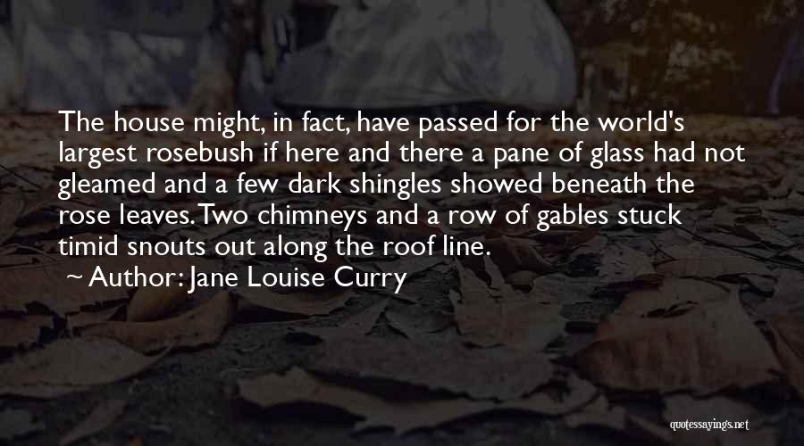 Dark House Quotes By Jane Louise Curry