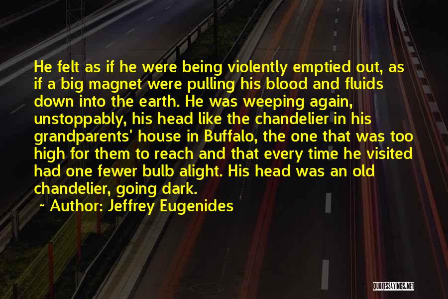 Dark House Quotes By Jeffrey Eugenides