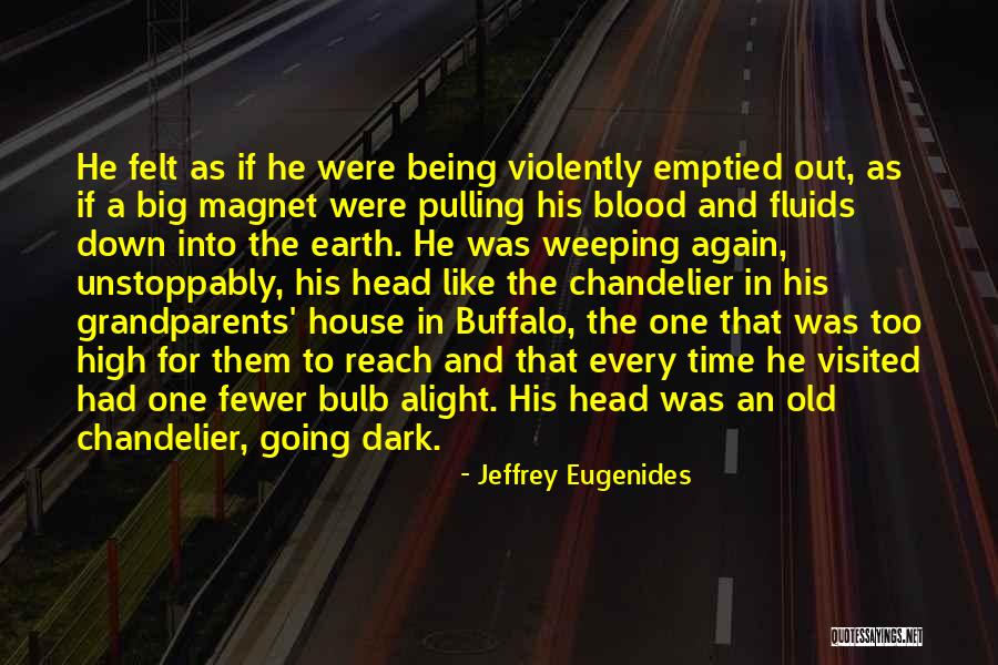 Dark House Quotes By Jeffrey Eugenides