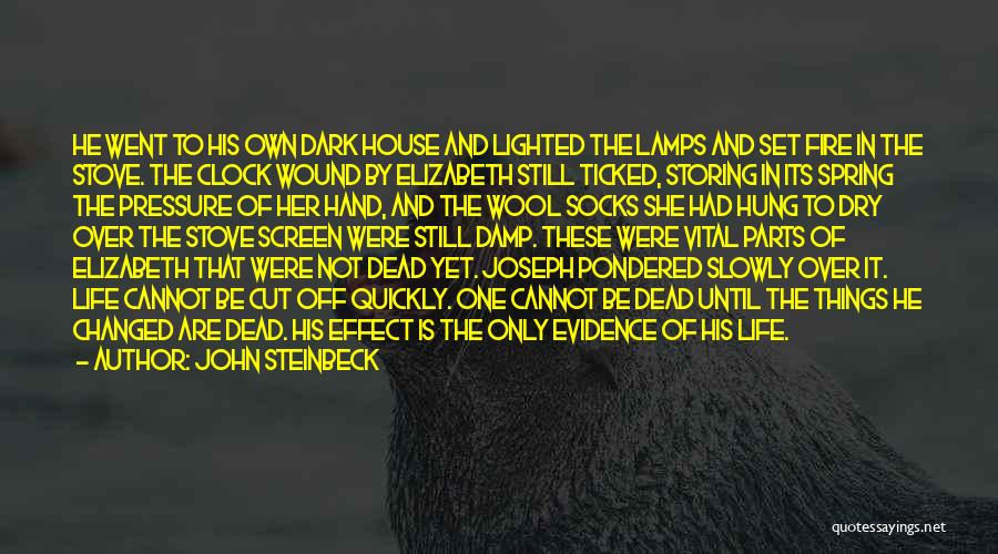 Dark House Quotes By John Steinbeck