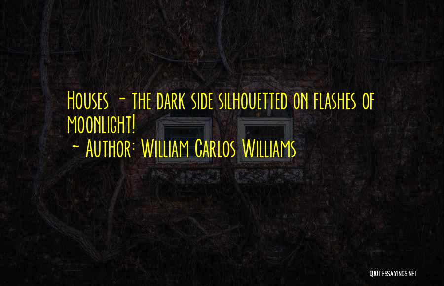 Dark House Quotes By William Carlos Williams