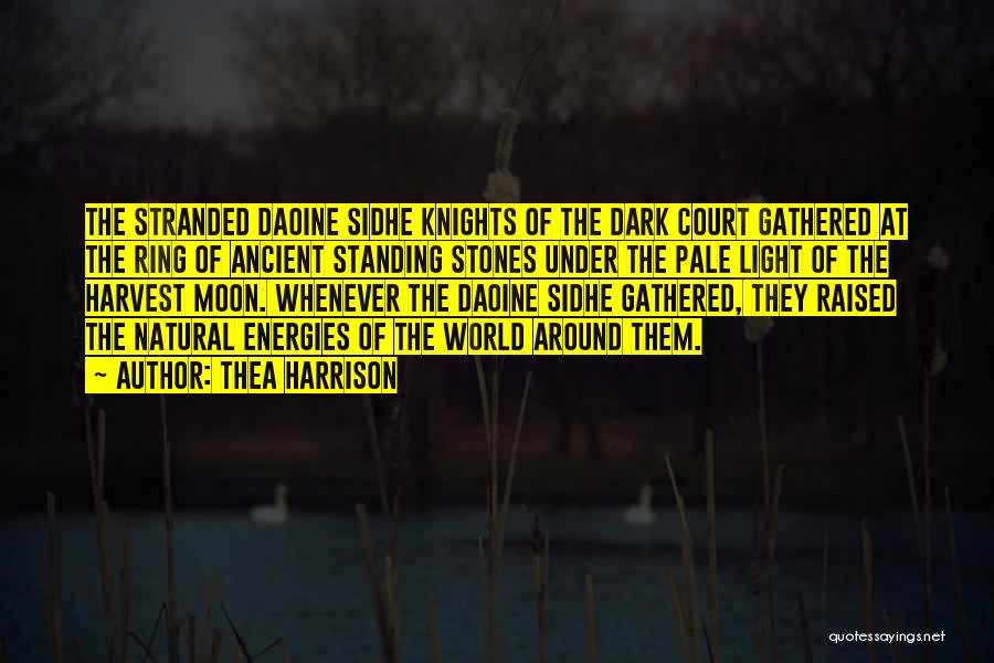 Dark Knights Quotes By Thea Harrison