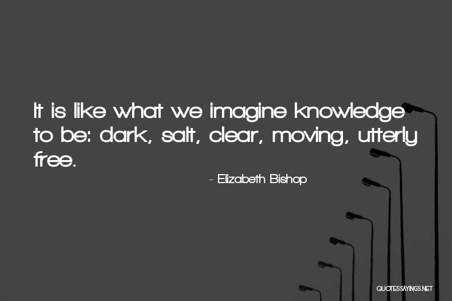 Dark Knowledge Quotes By Elizabeth Bishop Dark Knowledge Quotes By Elizabeth Bishop