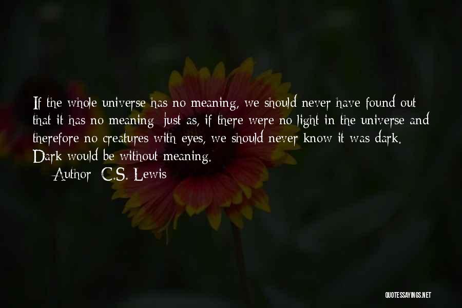 Dark Light Life Quotes By C.S. Lewis