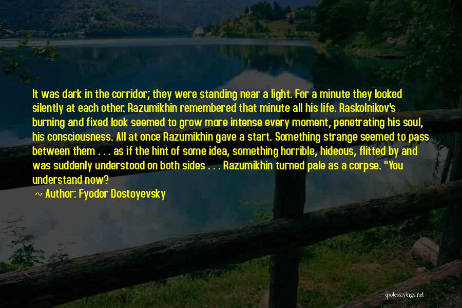 Dark Light Life Quotes By Fyodor Dostoyevsky