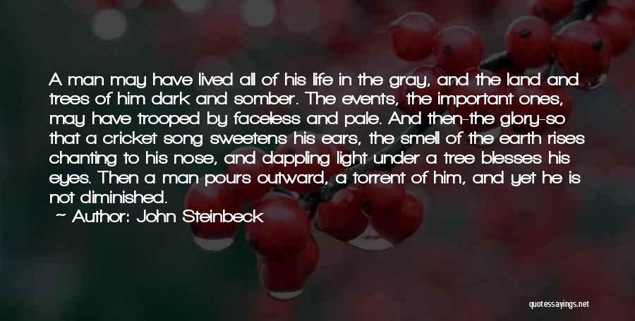 Dark Light Life Quotes By John Steinbeck