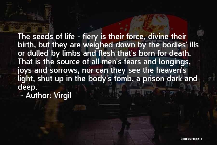 Dark Light Life Quotes By Virgil