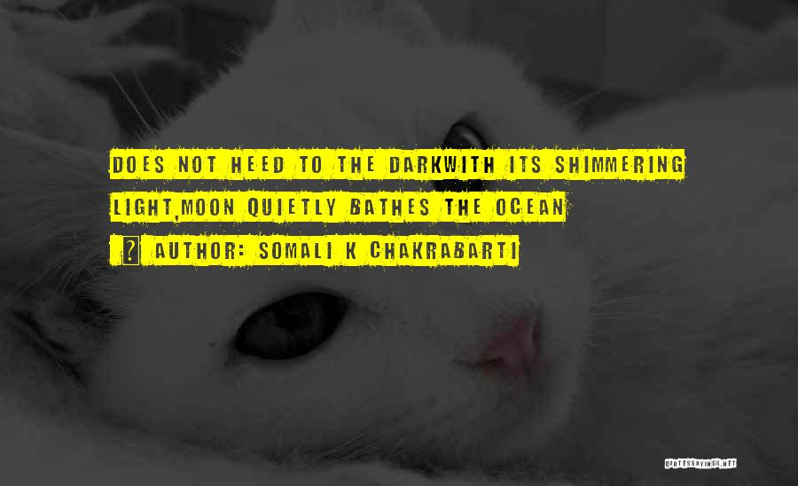 Dark Light Quotes By Somali K Chakrabarti