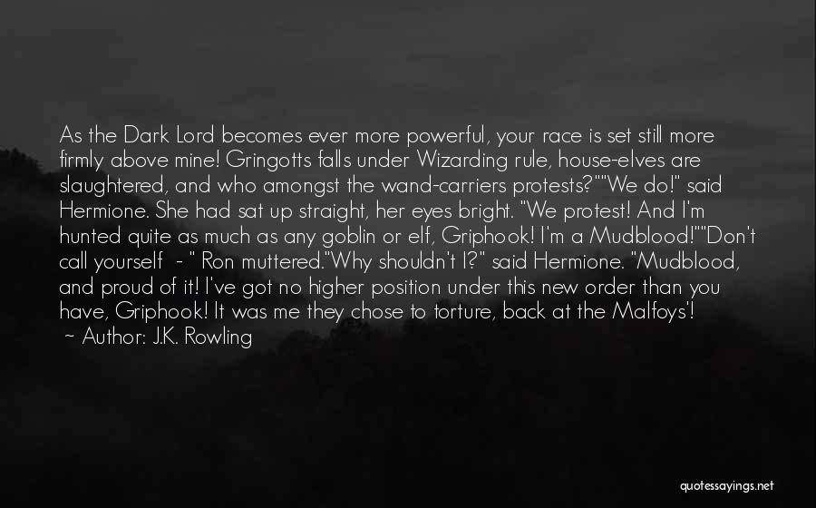 Dark Lord Quotes By J.K. Rowling