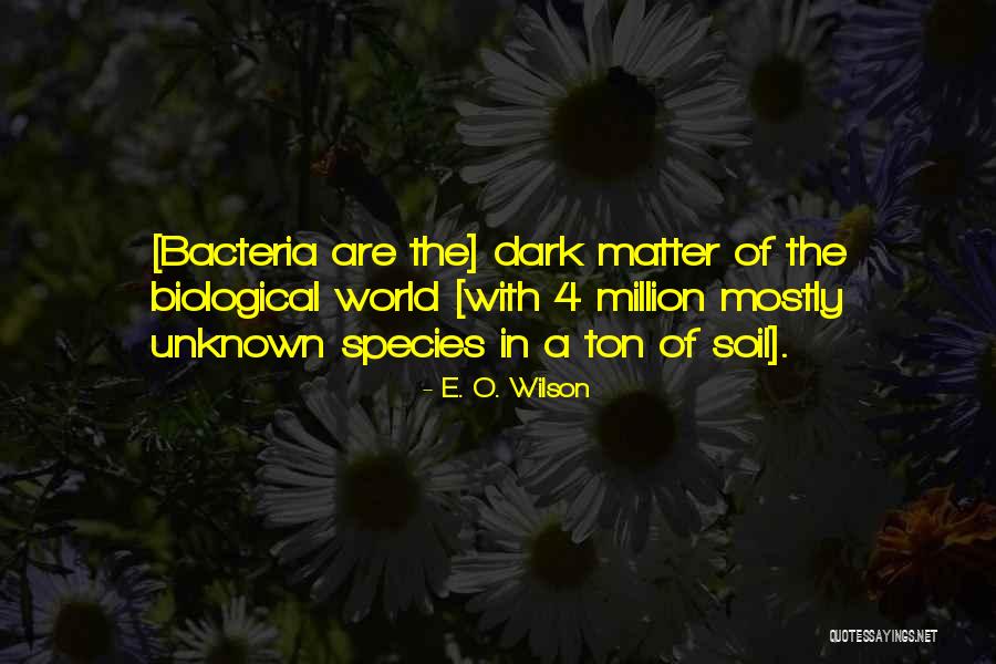 Dark Matter Quotes By E. O. Wilson