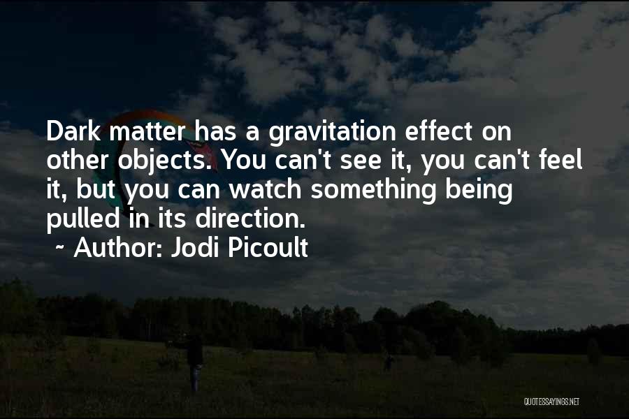 Dark Matter Quotes By Jodi Picoult