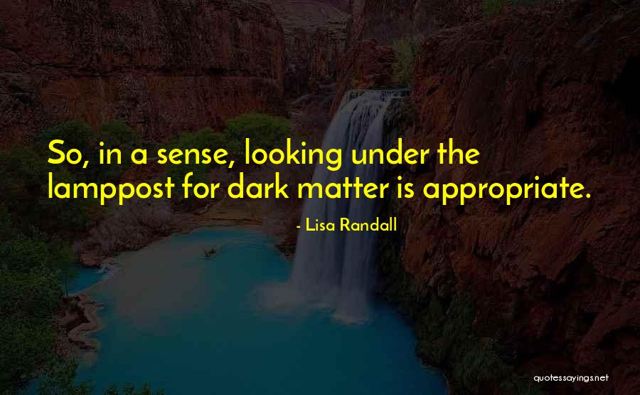 Dark Matter Quotes By Lisa Randall