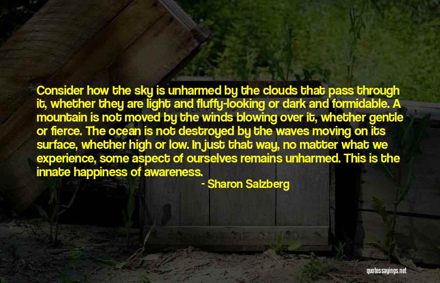 Dark Matter Quotes By Sharon Salzberg