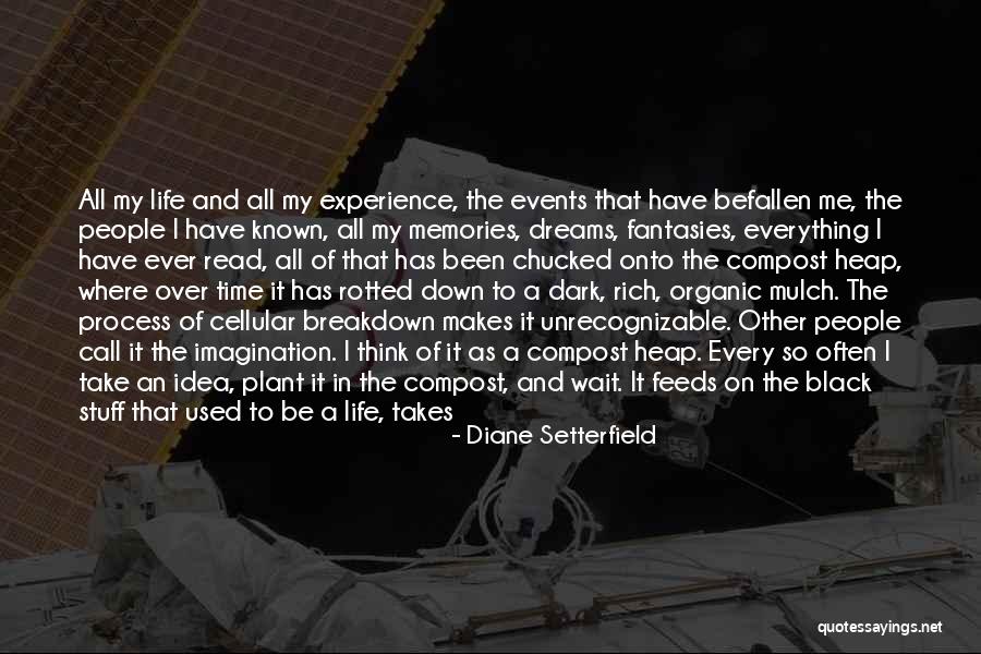 Dark Memories Quotes By Diane Setterfield Dark Memories Quotes By Diane Setterfield