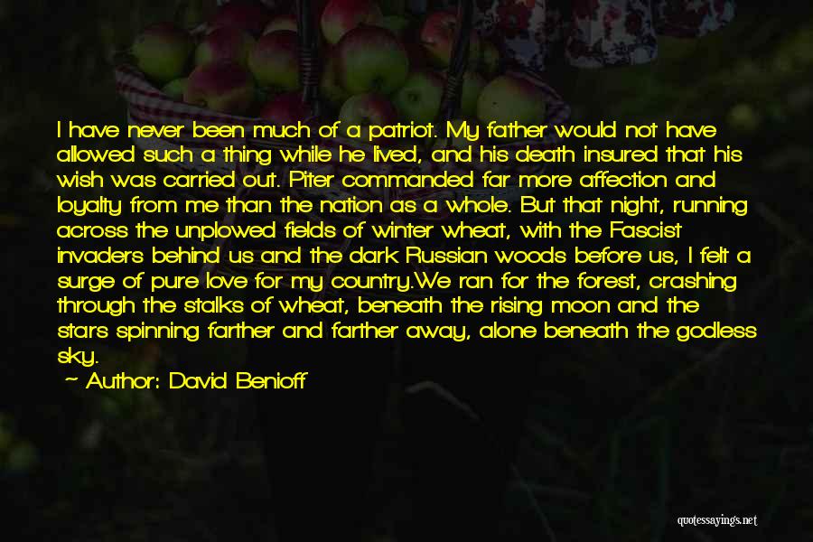 Dark Moon Quotes By David Benioff