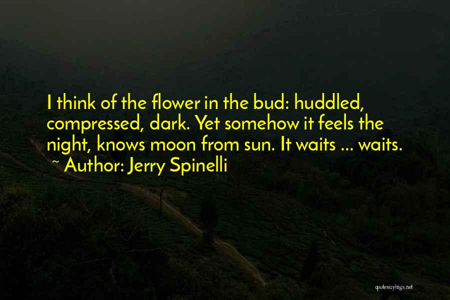 Dark Moon Quotes By Jerry Spinelli