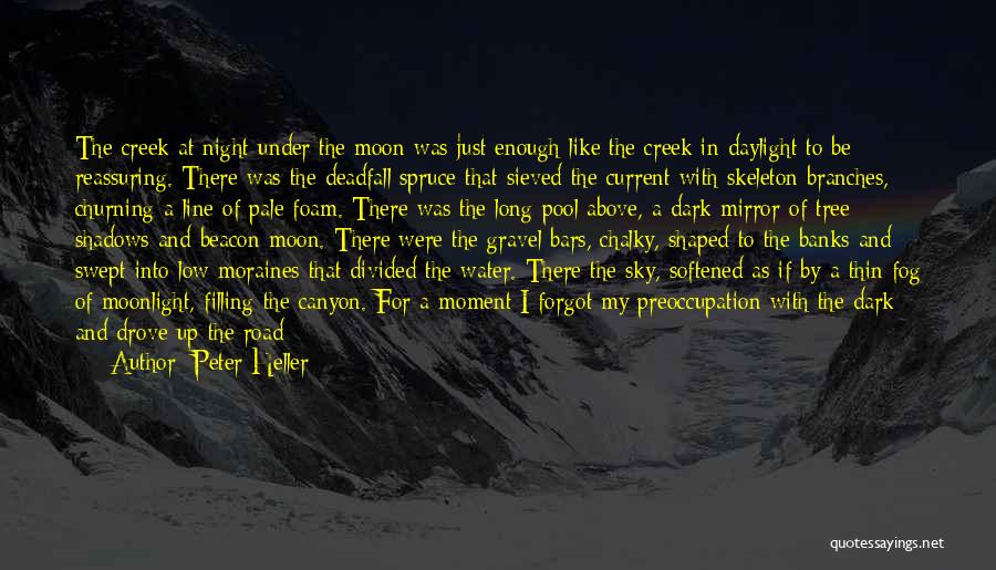 Dark Moon Quotes By Peter Heller