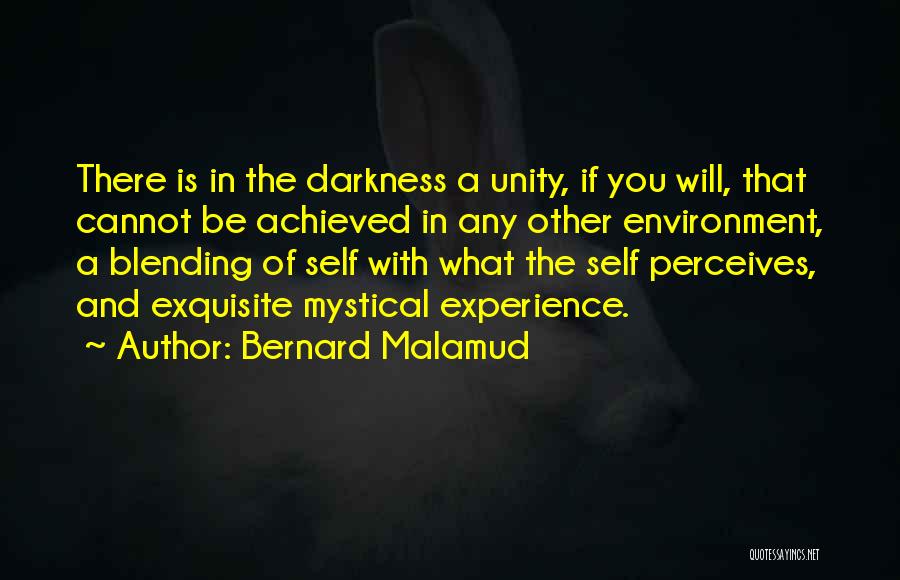 Dark Mystical Quotes By Bernard Malamud