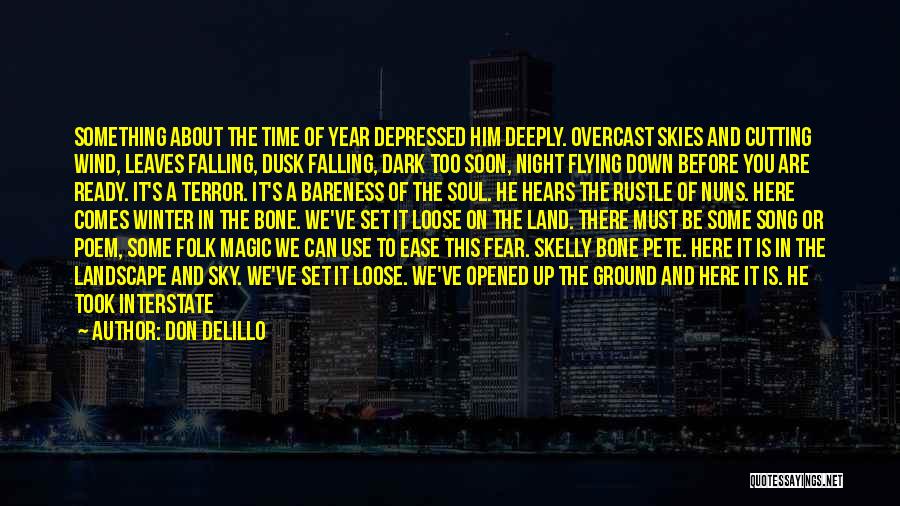 Dark Night Of The Soul Poem Quotes By Don DeLillo