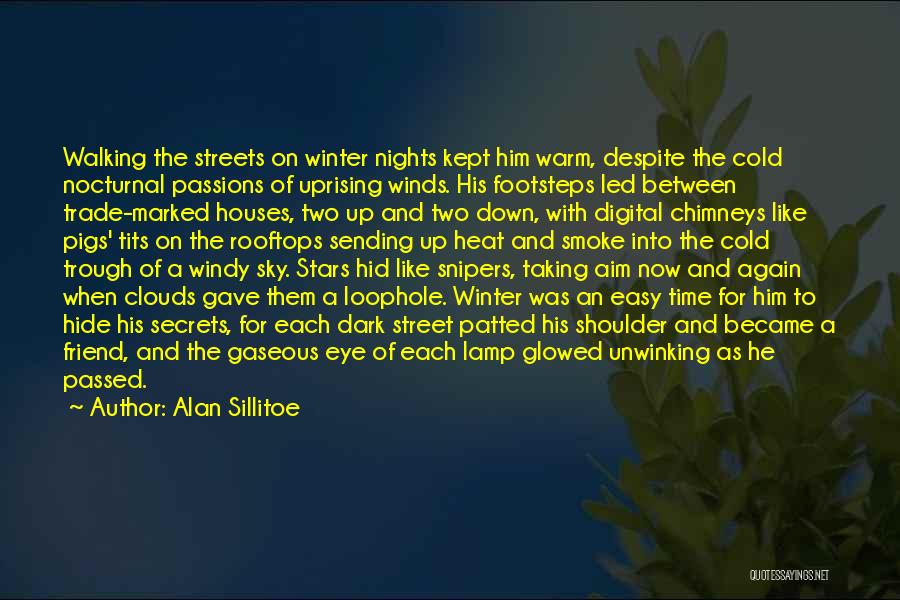 Dark Nights Quotes By Alan Sillitoe