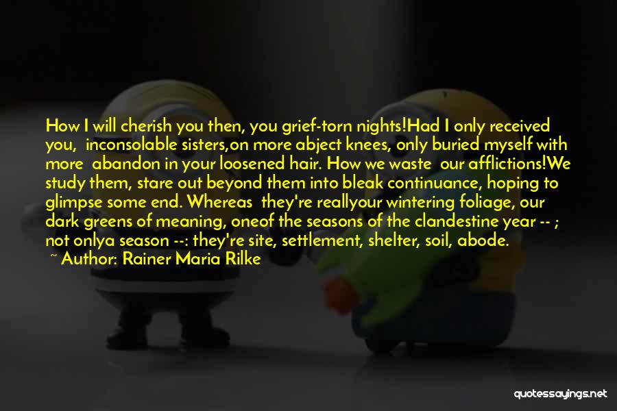 Dark Nights Quotes By Rainer Maria Rilke