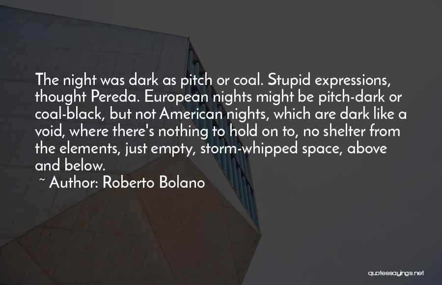 Dark Nights Quotes By Roberto Bolano