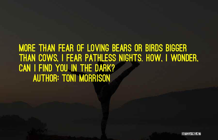 Dark Nights Quotes By Toni Morrison