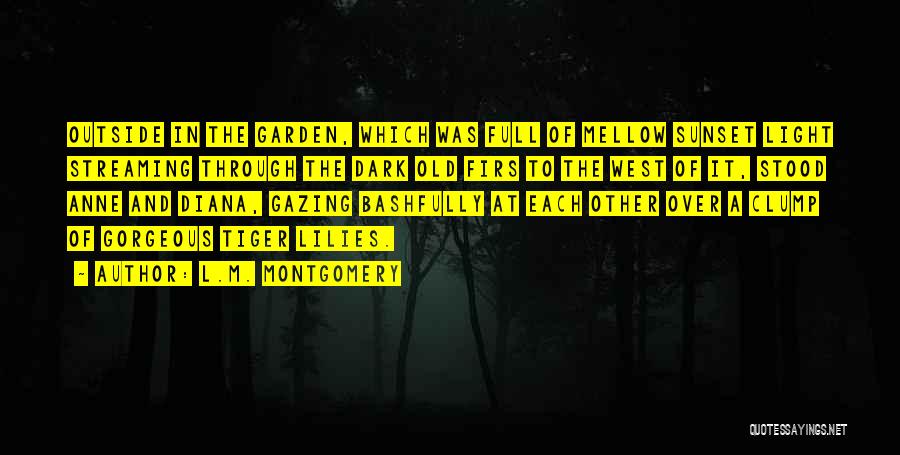 Dark Of The West Quotes By L.M. Montgomery