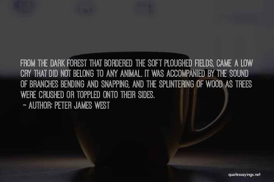Dark Of The West Quotes By Peter James West