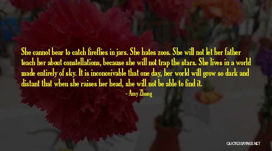 Dark One Quotes By Amy Zhang