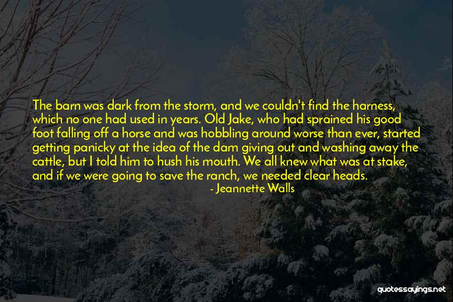 Dark One Quotes By Jeannette Walls