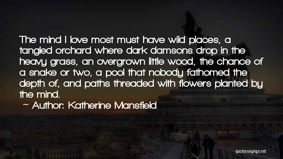 Dark Paths Quotes By Katherine Mansfield