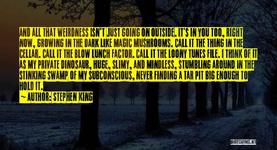 Dark Pit Quotes By Stephen King