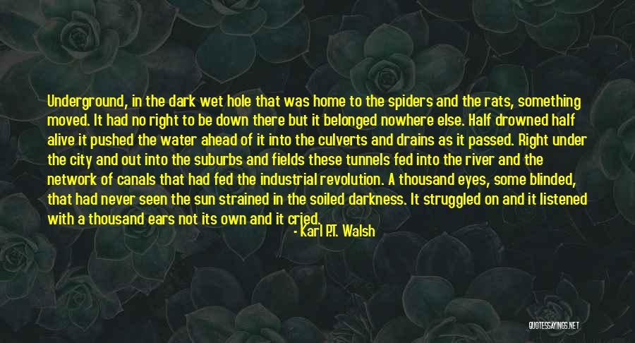 Dark River Quotes By Karl P.T. Walsh Dark River Quotes By Karl P.T. Walsh