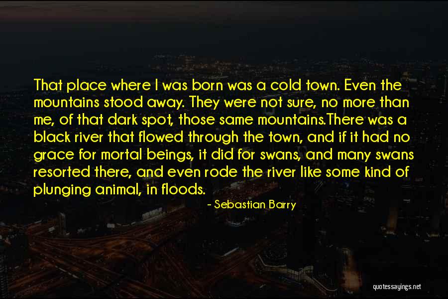 Dark River Quotes By Sebastian Barry Dark River Quotes By Sebastian Barry